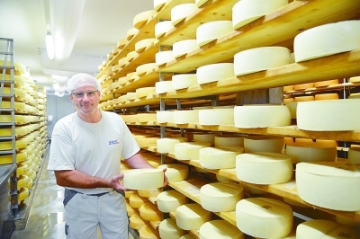 用传统方式生产的“格吕耶尔”奶酪