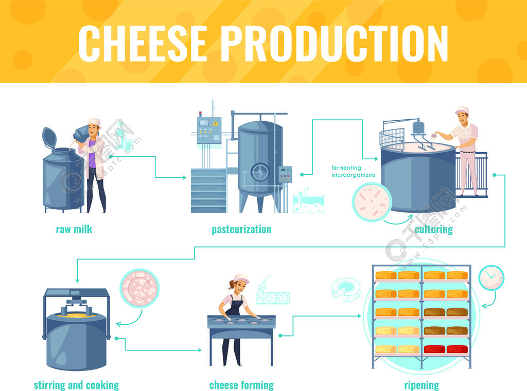 乳酪生产在白色背景的动画片infographics与处理线包括牛奶巴氏消毒法,产品成熟,传染媒介例证奶酪生产卡通信息图表模板免费下载_ai格式_3333像素_编号38351576