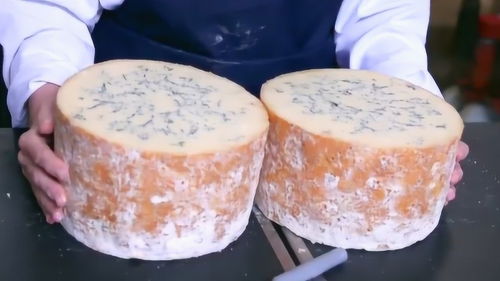 看国外工厂如何制作 发霉 奶酪,一块价值5000美元,网友 很便宜